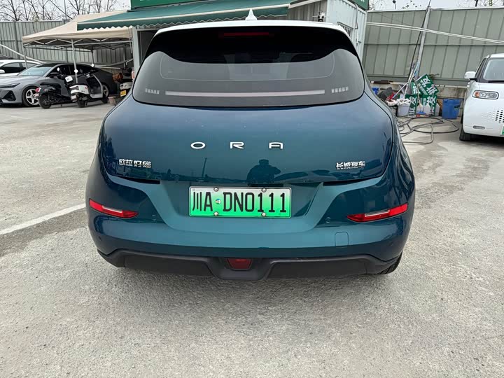 Фото 7 - Ora Good Cat (03)