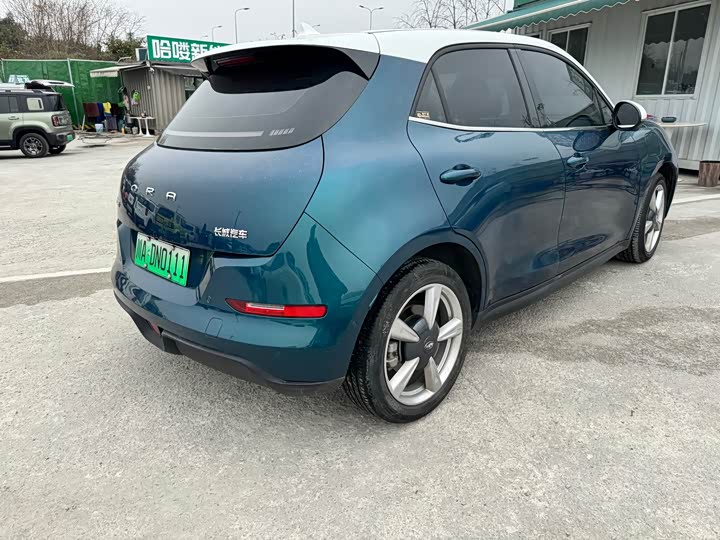 Фото 8 - Ora Good Cat (03)