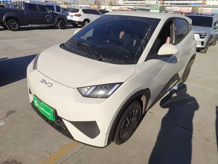 Фото 1 - BYD Seagull