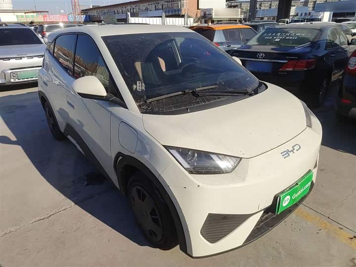 Фото 4 - BYD Seagull