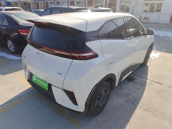 Фото 7 - BYD Seagull