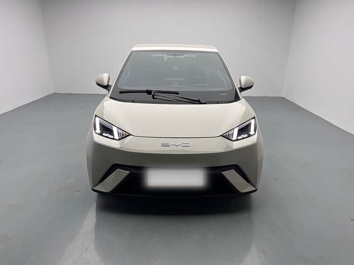 Фото 2 - BYD Seagull