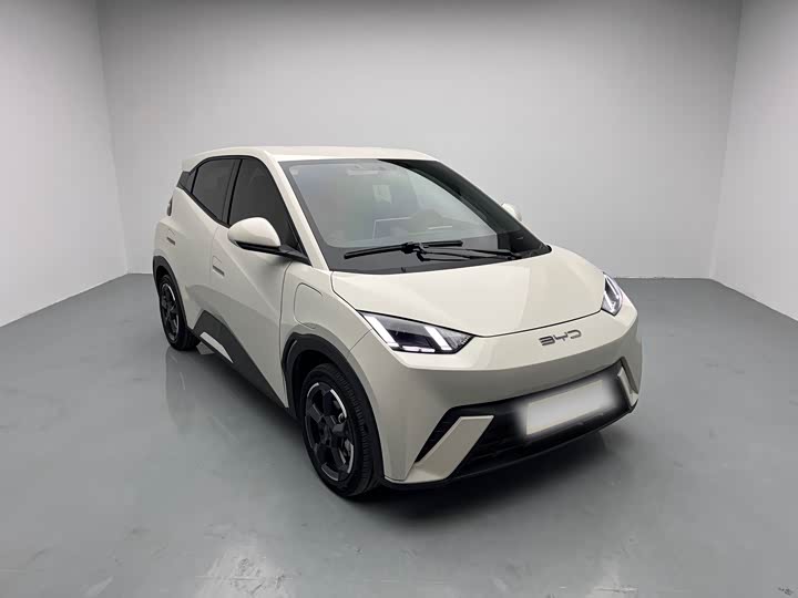 Фото 3 - BYD Seagull