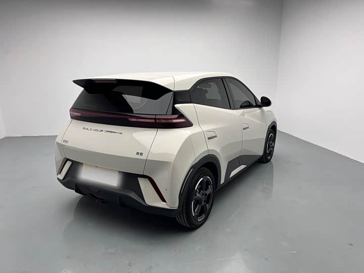 Фото 4 - BYD Seagull