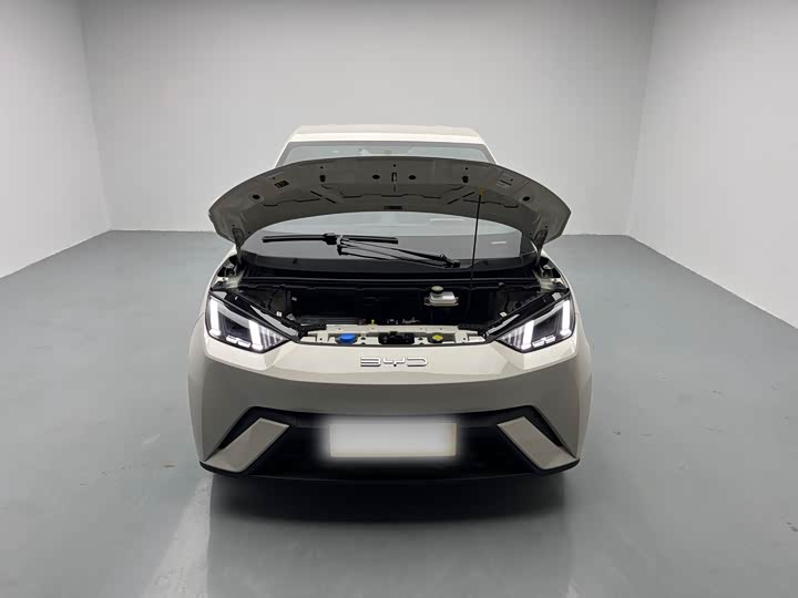 Фото 7 - BYD Seagull