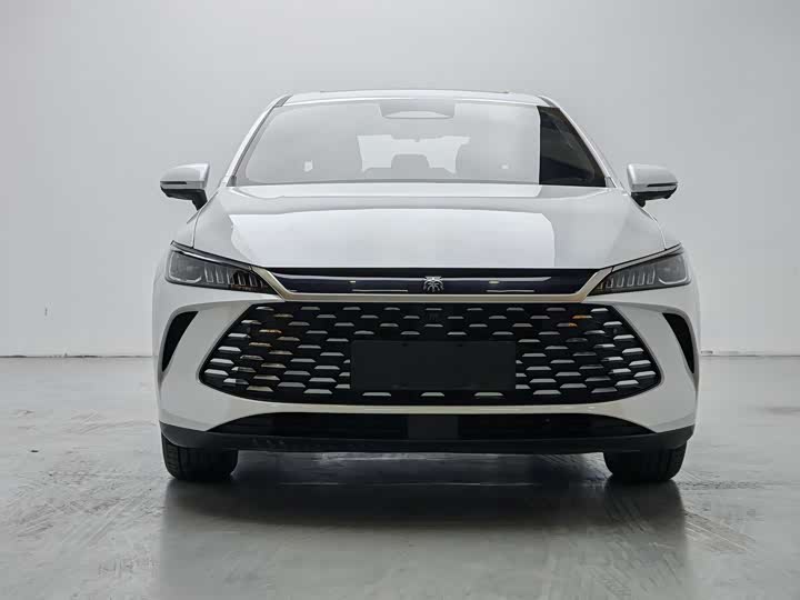 Фото 2 - BYD Qin Plus