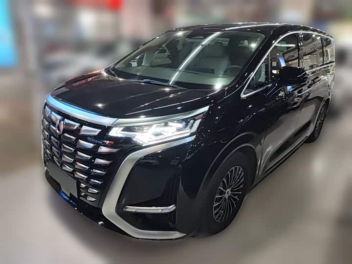 Фото 1 - Denza D9