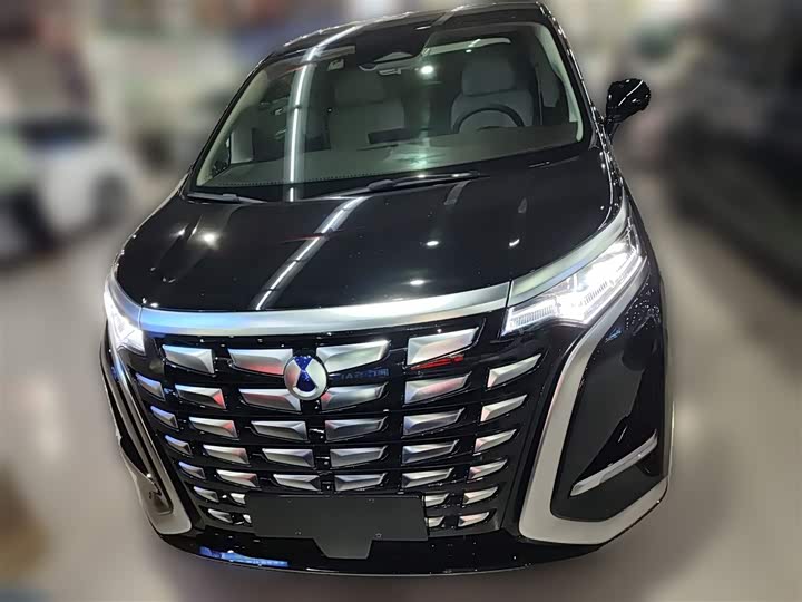 Фото 5 - Denza D9