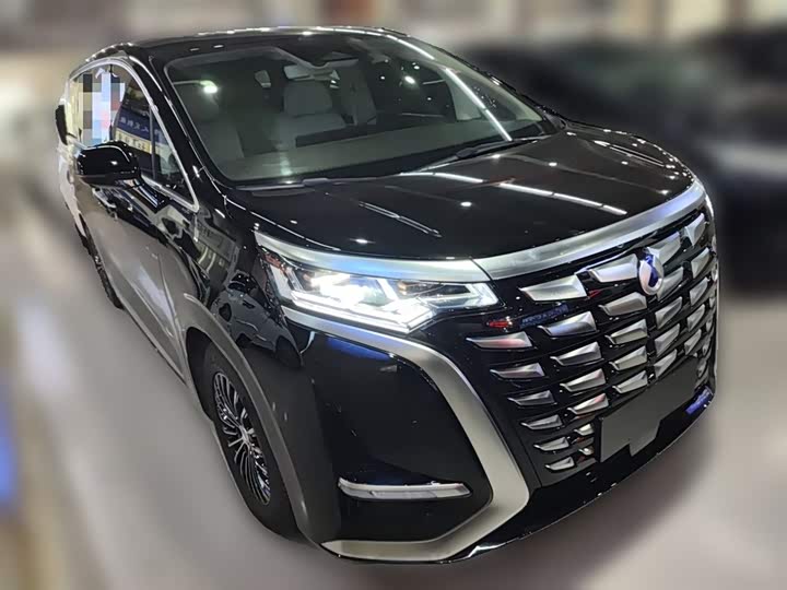 Фото 7 - Denza D9