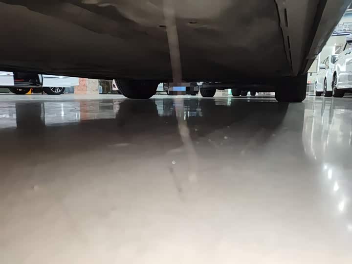 Фото 8 - Denza D9