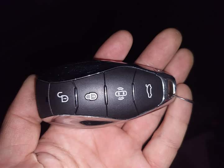 Фото 9 - Hongqi HS7 Hybrid