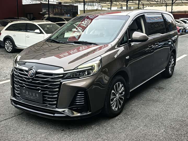 Фото 1 - Buick GL8 ES