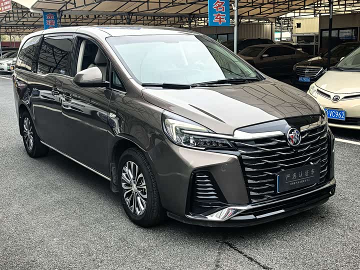 Фото 5 - Buick GL8 ES