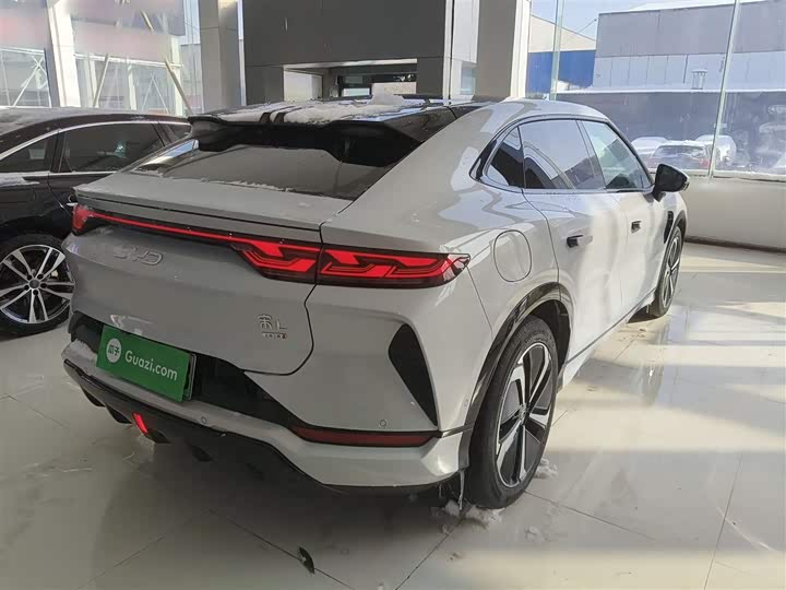 Фото 7 - BYD Song L