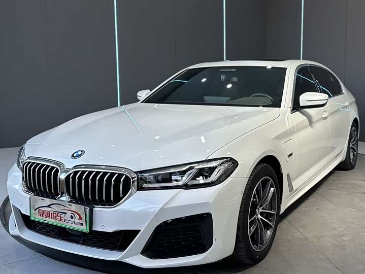 Фото 1 - BMW 5 Series Hybrid