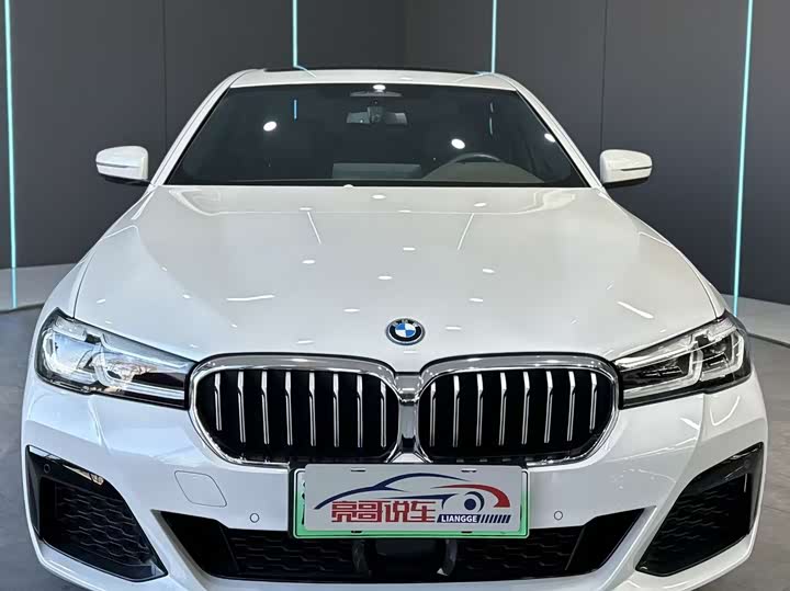 Фото 2 - BMW 5 Series Hybrid