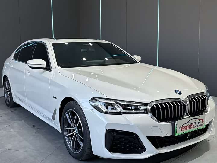 Фото 3 - BMW 5 Series Hybrid