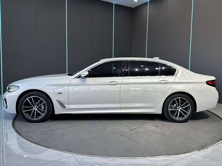 Фото 4 - BMW 5 Series Hybrid