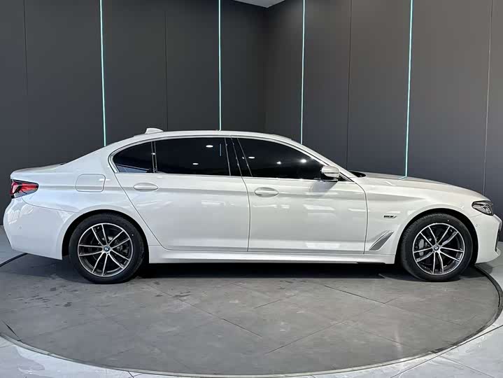 Фото 5 - BMW 5 Series Hybrid