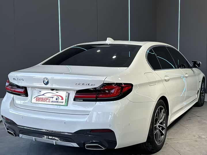Фото 6 - BMW 5 Series Hybrid