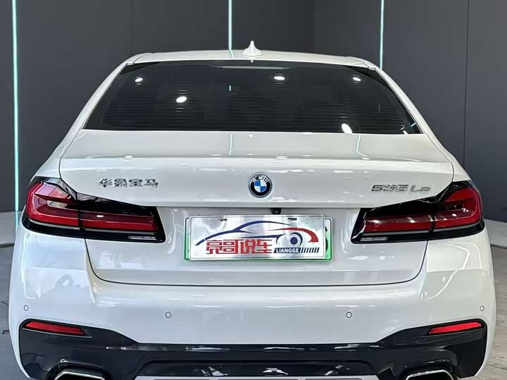 Фото 7 - BMW 5 Series Hybrid
