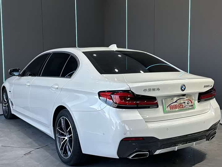 Фото 8 - BMW 5 Series Hybrid