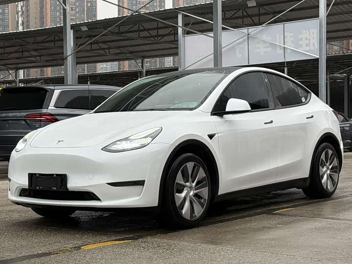 Фото 1 - Tesla Model Y
