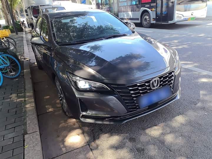 Фото 4 - Changan Raeton CC