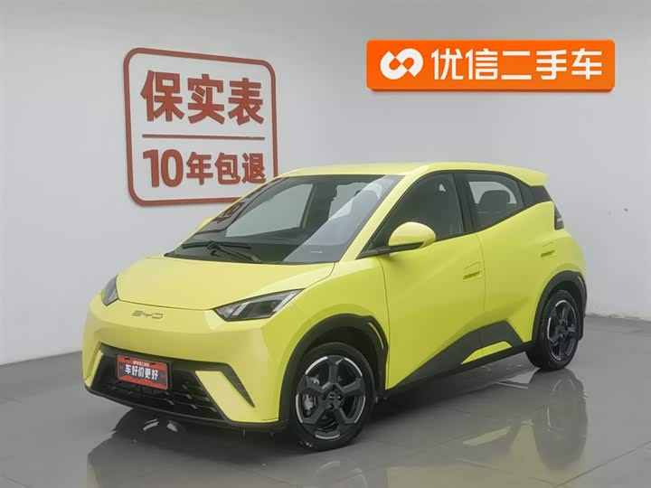 Фото 1 - BYD Seagull