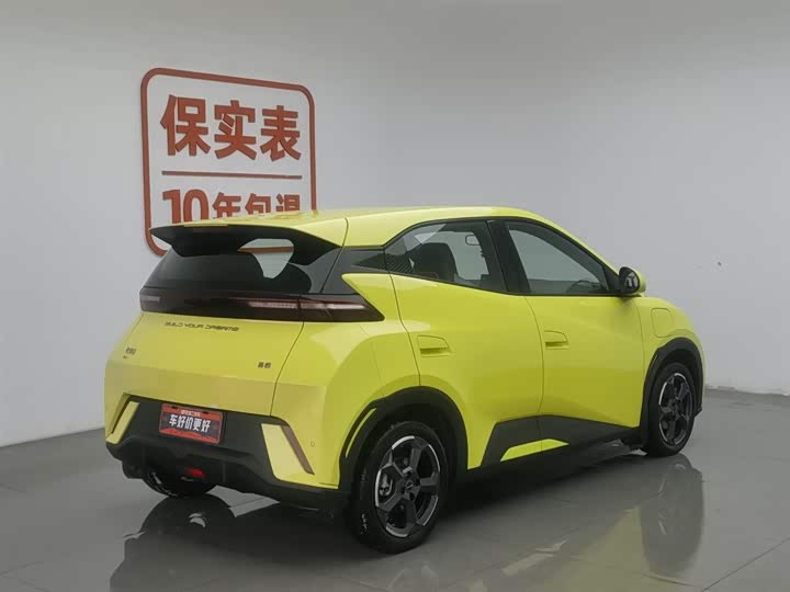 Фото 2 - BYD Seagull