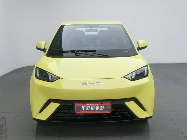 Фото 3 - BYD Seagull