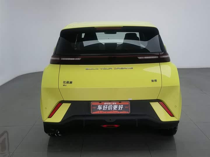 Фото 4 - BYD Seagull