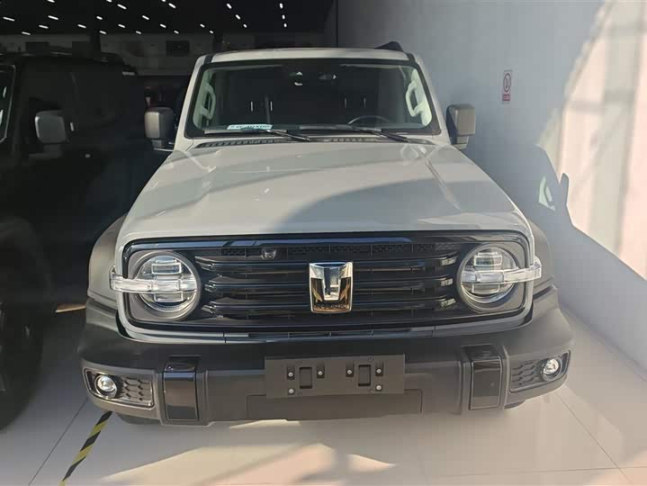 Фото 2 - Tank 300