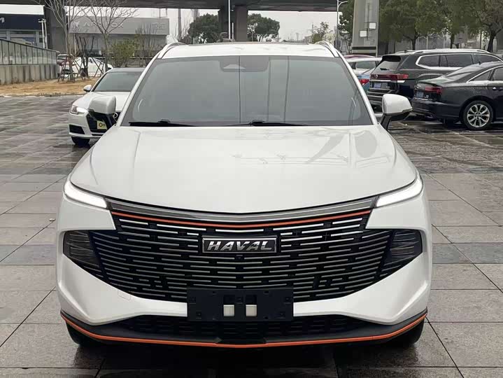 Фото 2 - Haval F7 (Monster)