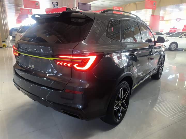 Фото 7 - Roewe RX5