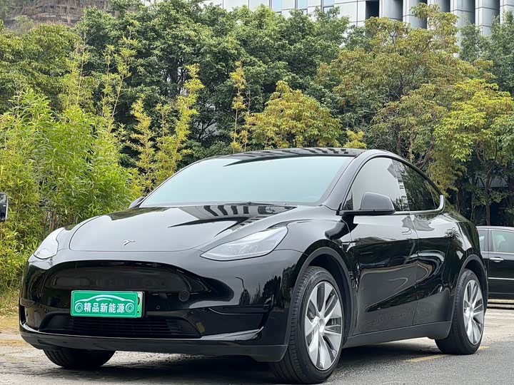 Фото 1 - Tesla Model Y