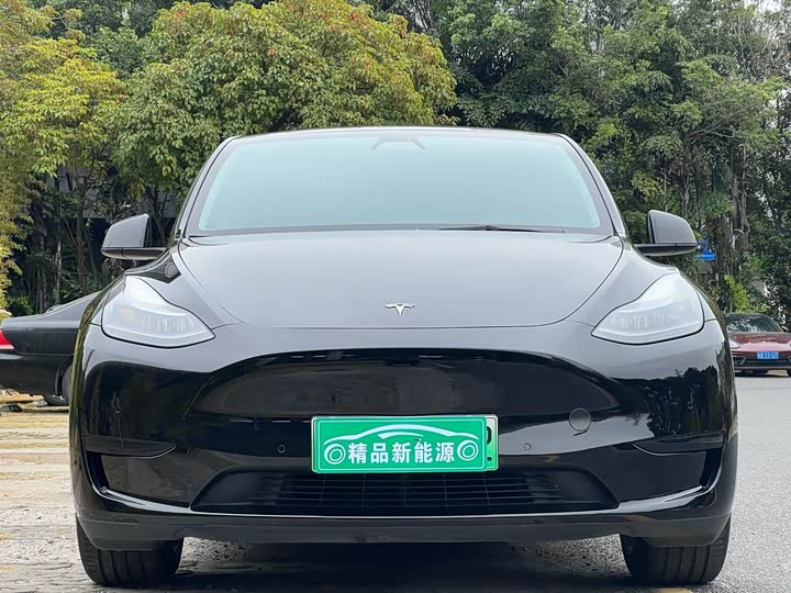 Фото 2 - Tesla Model Y