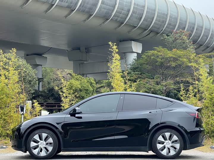 Фото 4 - Tesla Model Y