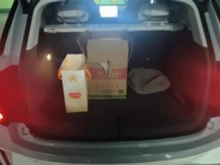 Фото 4 - BAIC Arcfox Kaola S