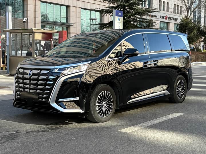 Фото 1 - Denza D9