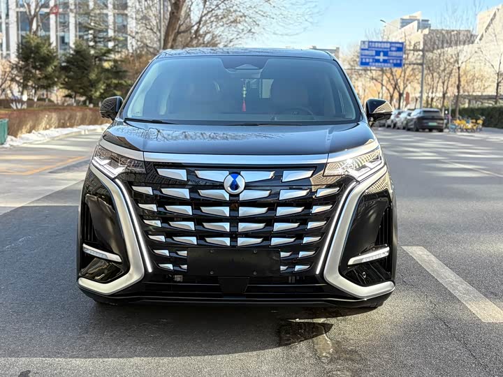 Фото 2 - Denza D9