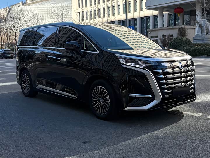 Фото 3 - Denza D9