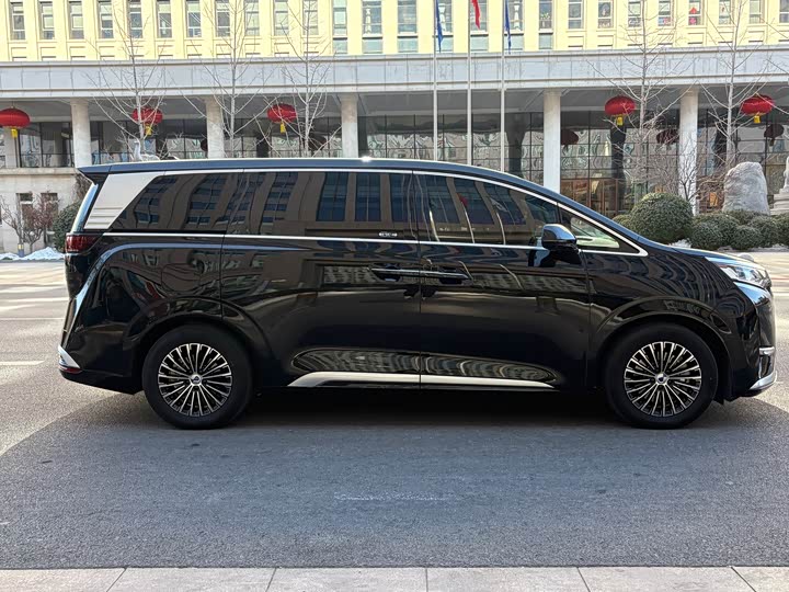 Фото 6 - Denza D9