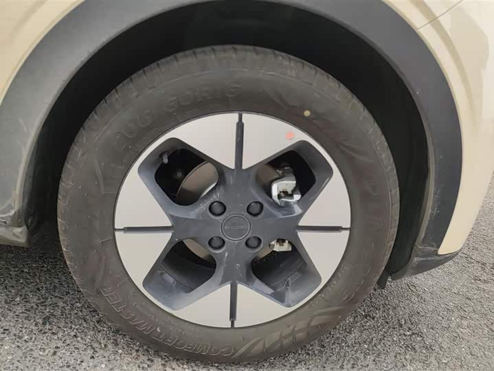 Фото 6 - Geely Galaxy Geome