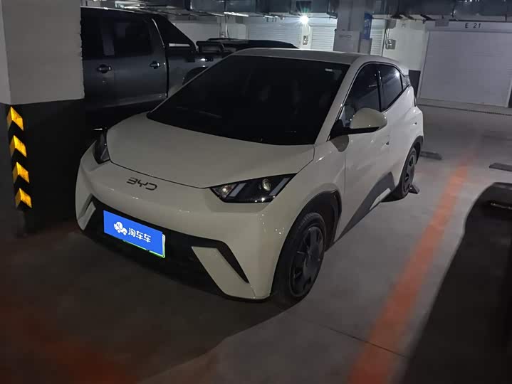 Фото 1 - BYD Seagull