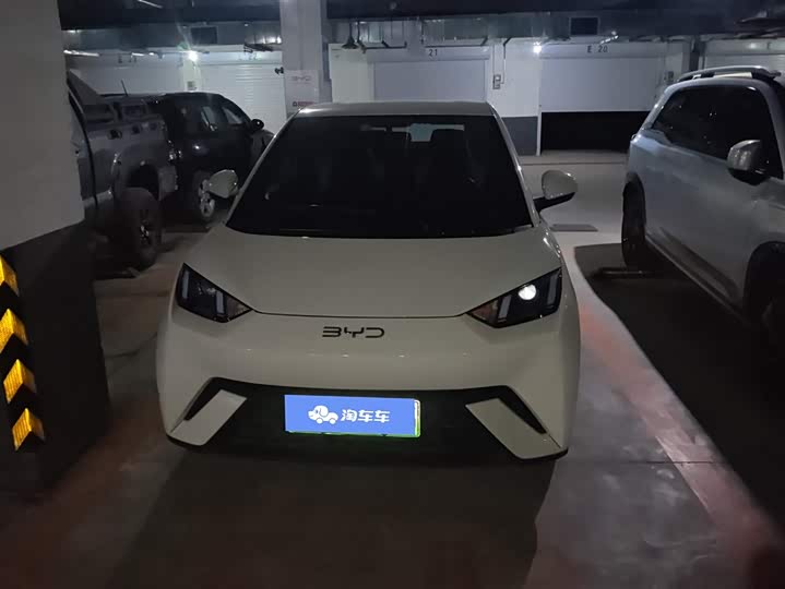 Фото 2 - BYD Seagull