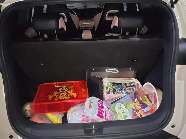 Фото 4 - BYD Seagull