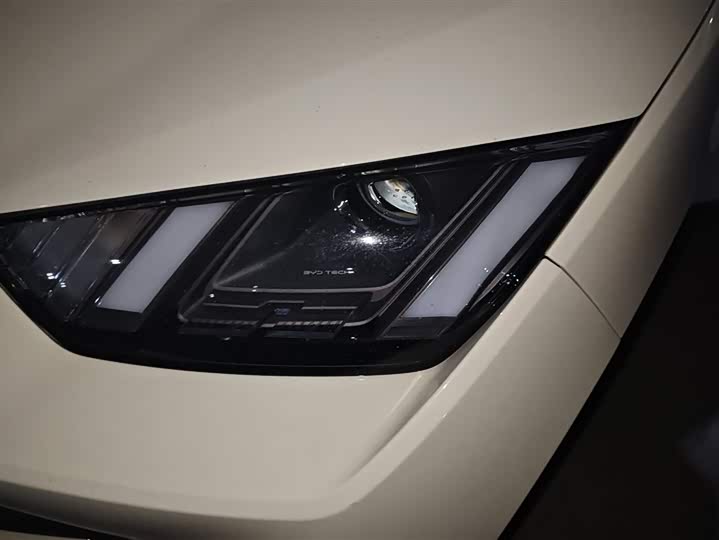 Фото 5 - BYD Seagull