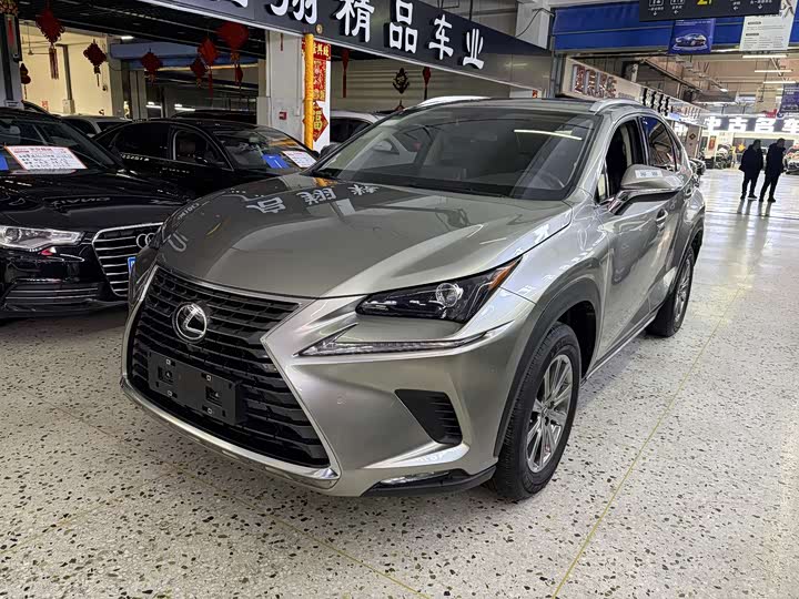 Фото 1 - Lexus NX
