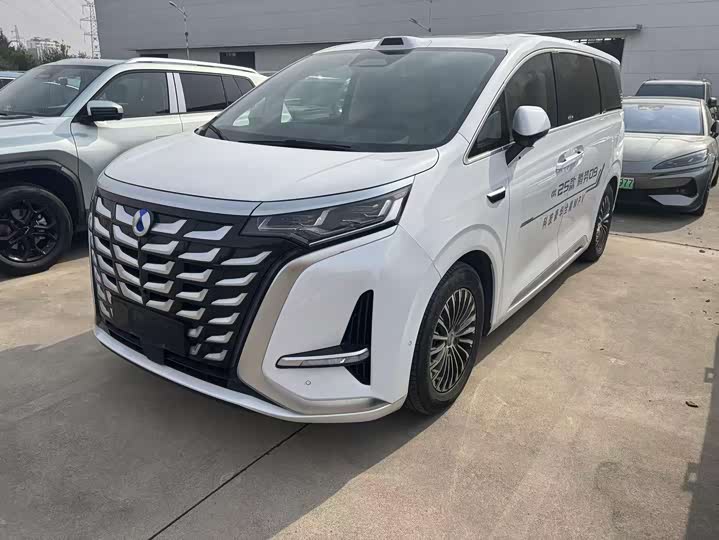 Фото 1 - Denza D9